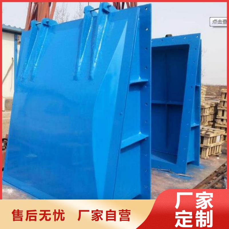 拍门规格齐全实力厂家