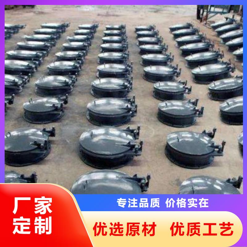 拍门-卷扬启闭机厂家实力优品