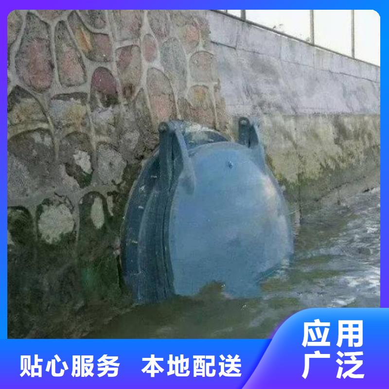 【拍门机闸一体式闸门现货满足大量采购】
