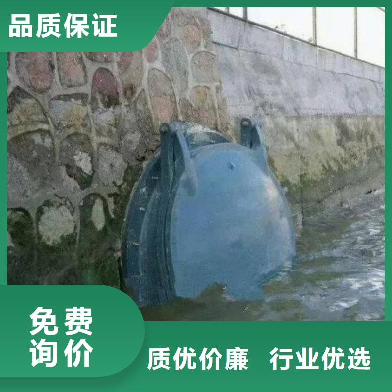 拍门铸铁闸门自产自销