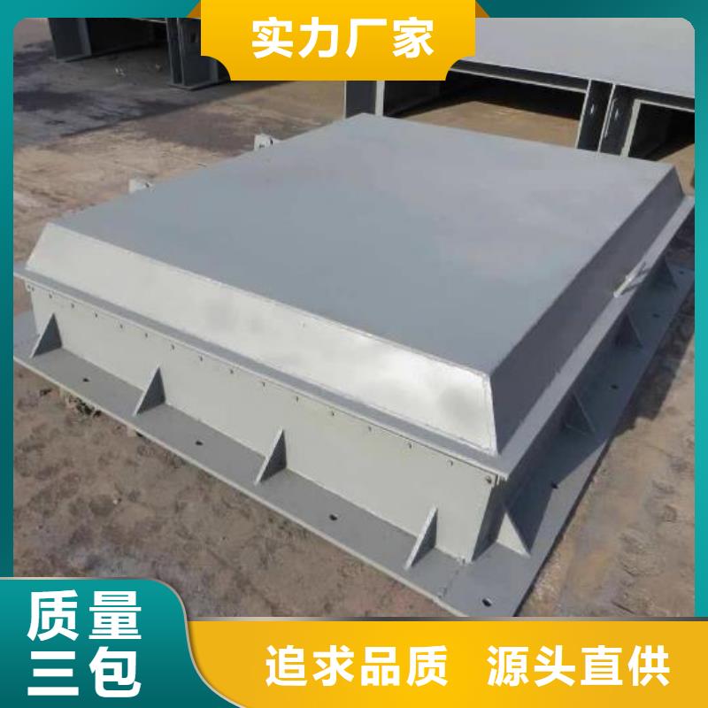 拍门【钢制拍门】严选好货
