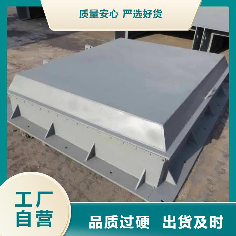 拍门铸铁闸门厂家直营