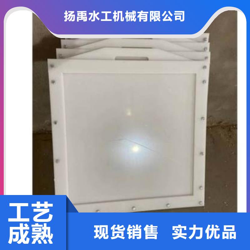 塑料闸门铸铁拍门研发生产销售