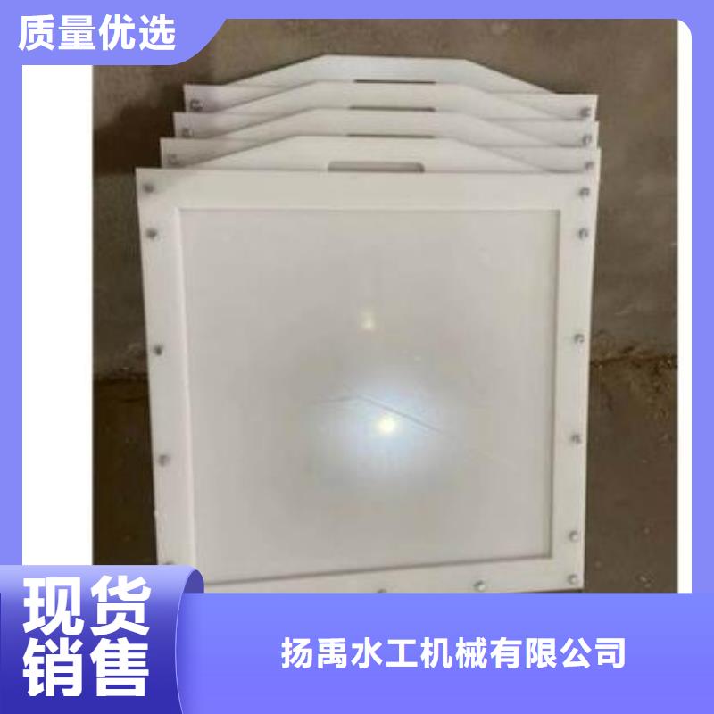 塑料闸门_钢制拍门厂家长期供应