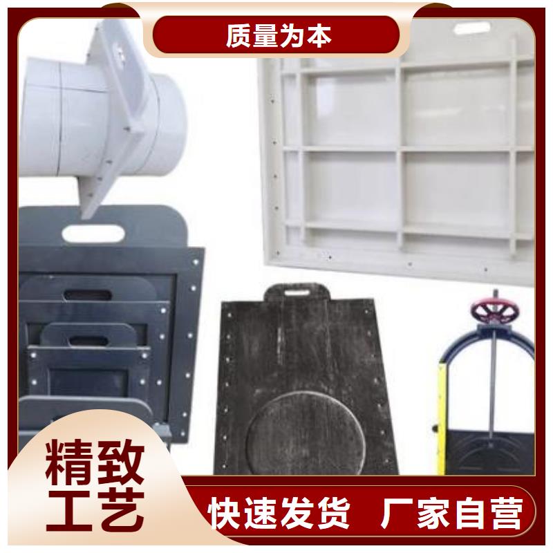 塑料闸门-景观钢闸门货源报价