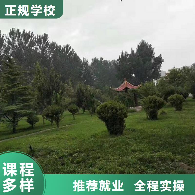 面点小吃培训【虎振挖掘机】师资力量强