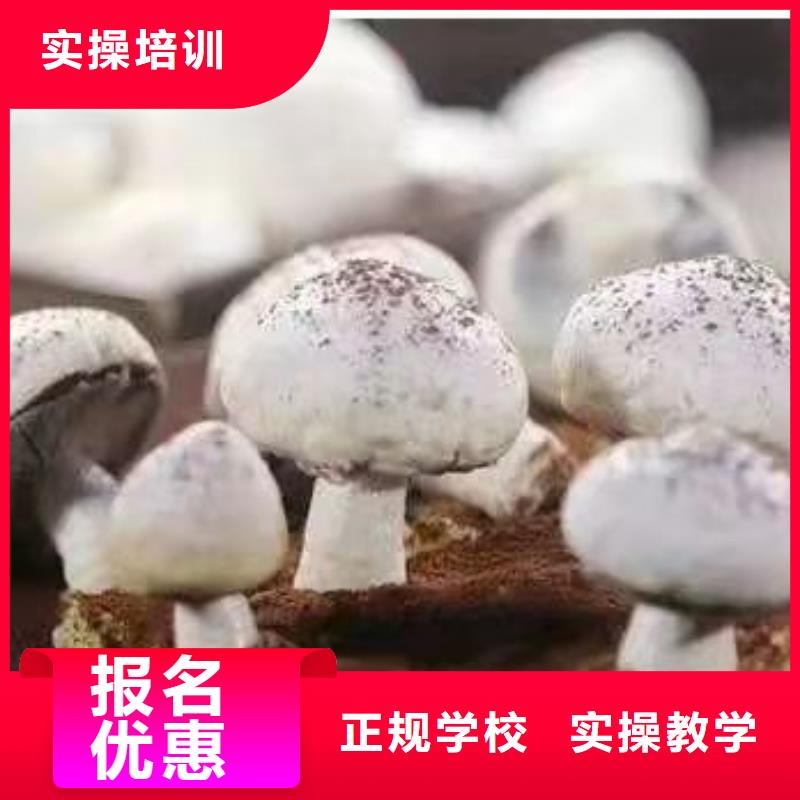 西点学校厨师培训学校学真本领