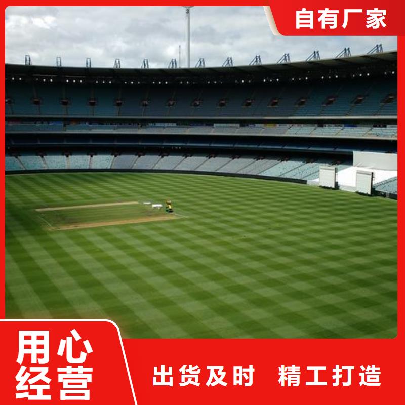 塑胶跑道室外运动场地款式多样