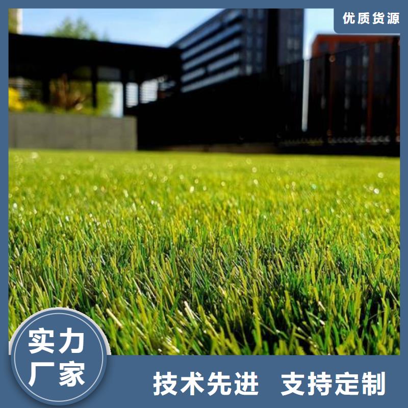 【塑胶跑道】学校体育场多种优势放心选择