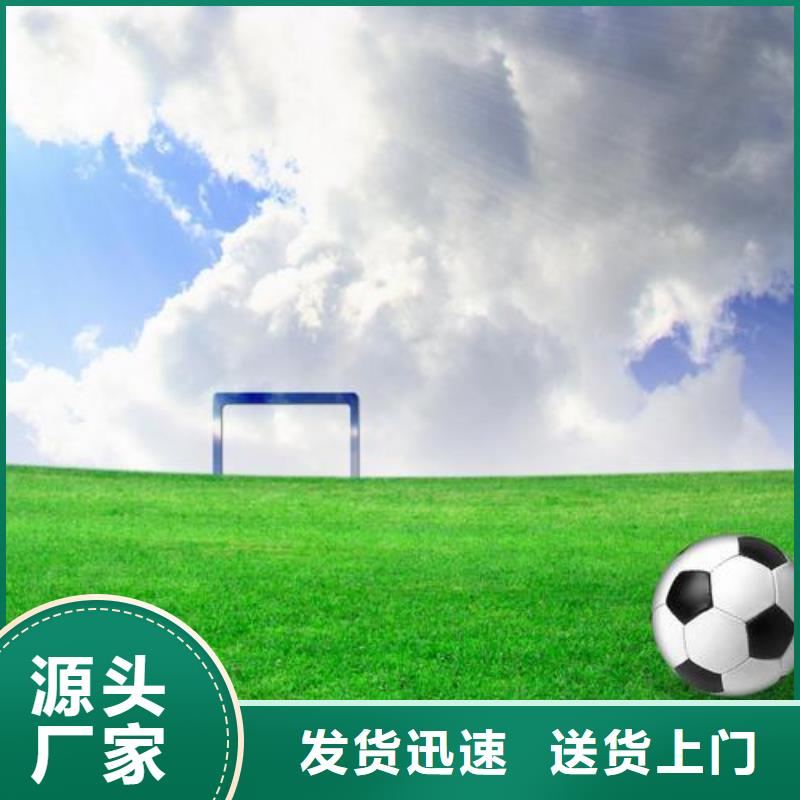 塑胶跑道人造草坪批发诚信可靠