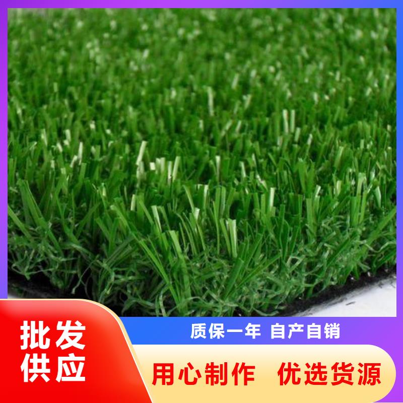塑胶跑道体育塑胶运动场工艺成熟