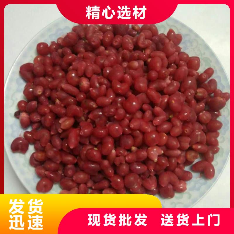 杈杷果樱桃苗欢迎来电询价