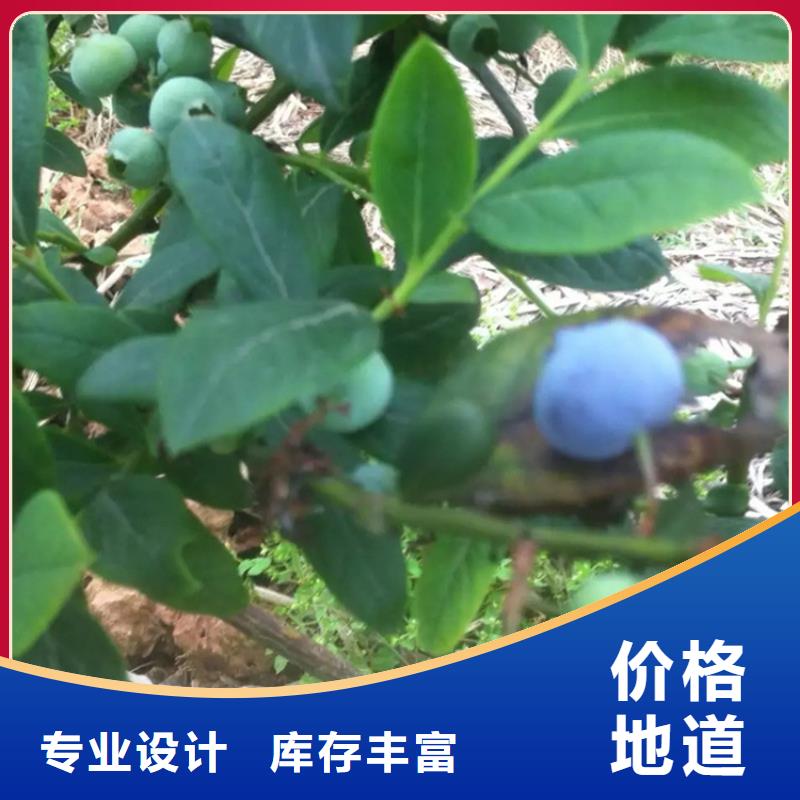 【蓝莓苗石榴树苗N年生产经验】