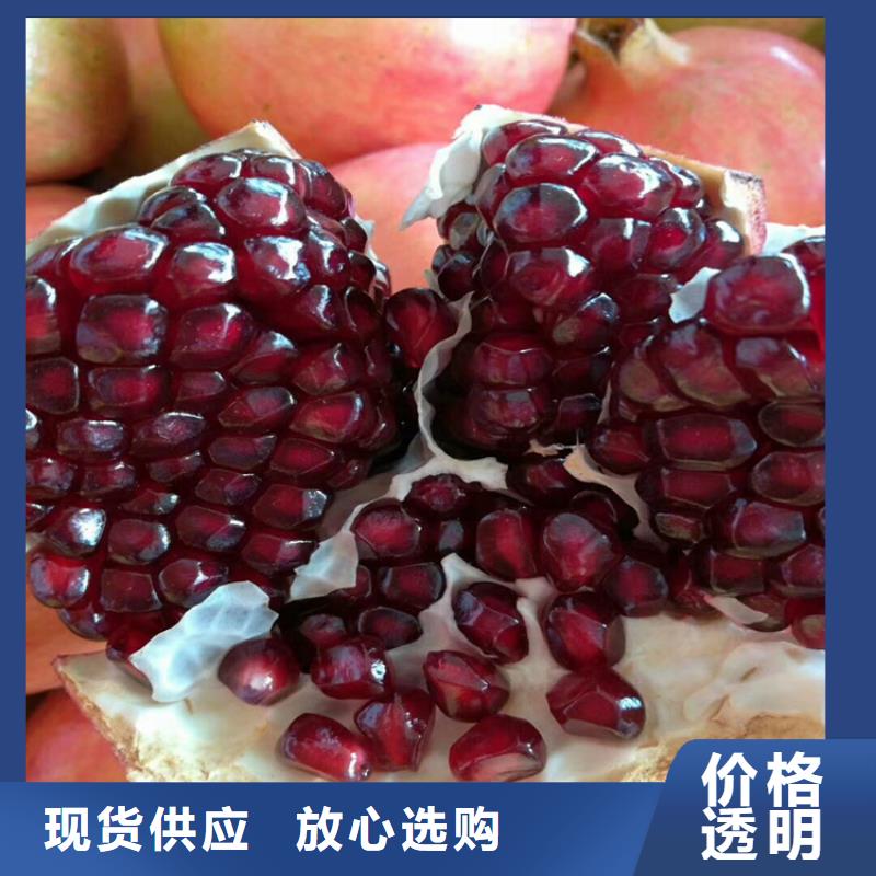 石榴石榴树追求细节品质