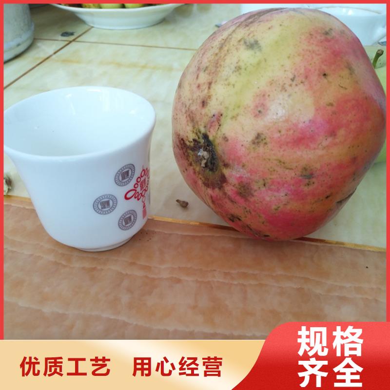 石榴桃树苗细节决定品质