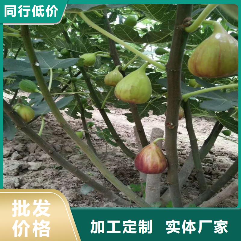 【无花果】_桃树苗用好材做好产品