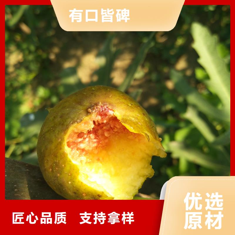 无花果花椒苗严选用料