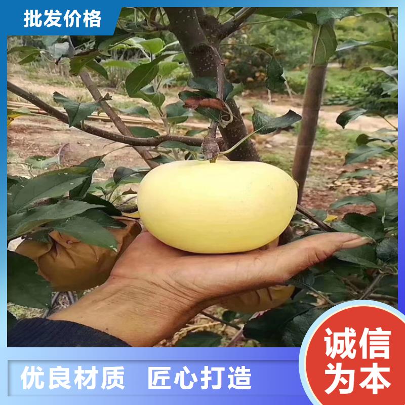 【苹果】葡萄苗快捷的物流配送