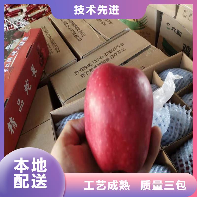 【苹果】桃树苗用心做好细节