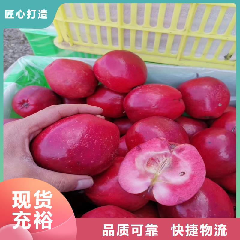 苹果_石榴树实地大厂