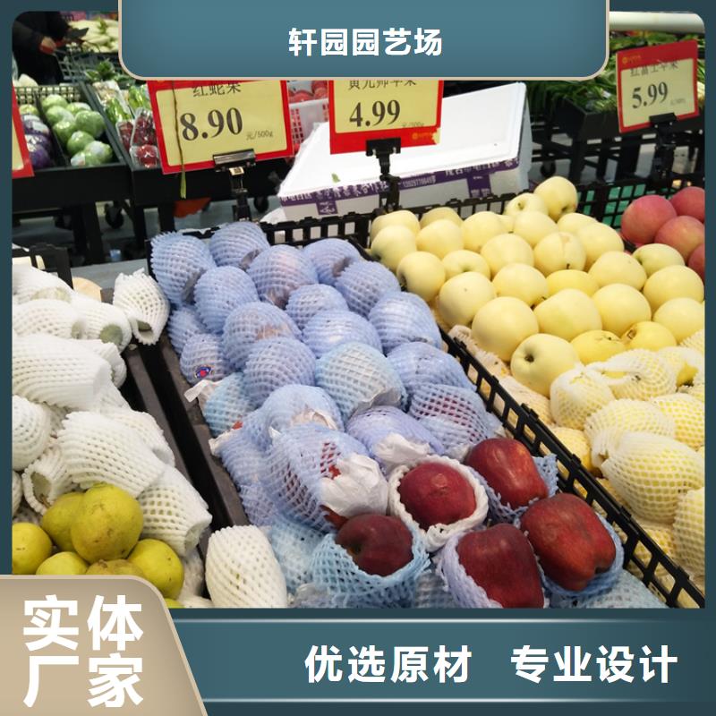 苹果,樱桃苗注重细节