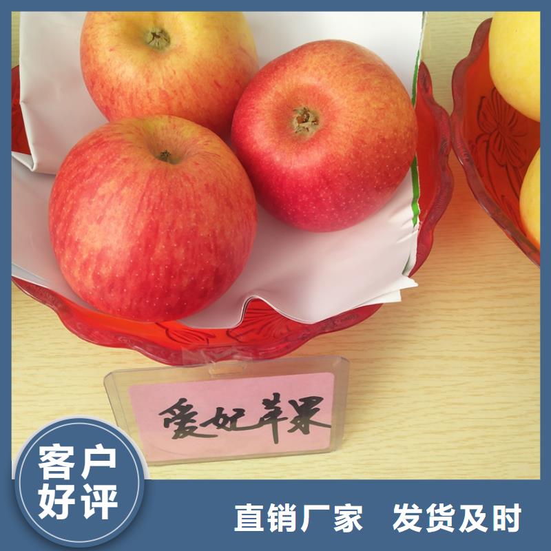 苹果石榴树48小时发货