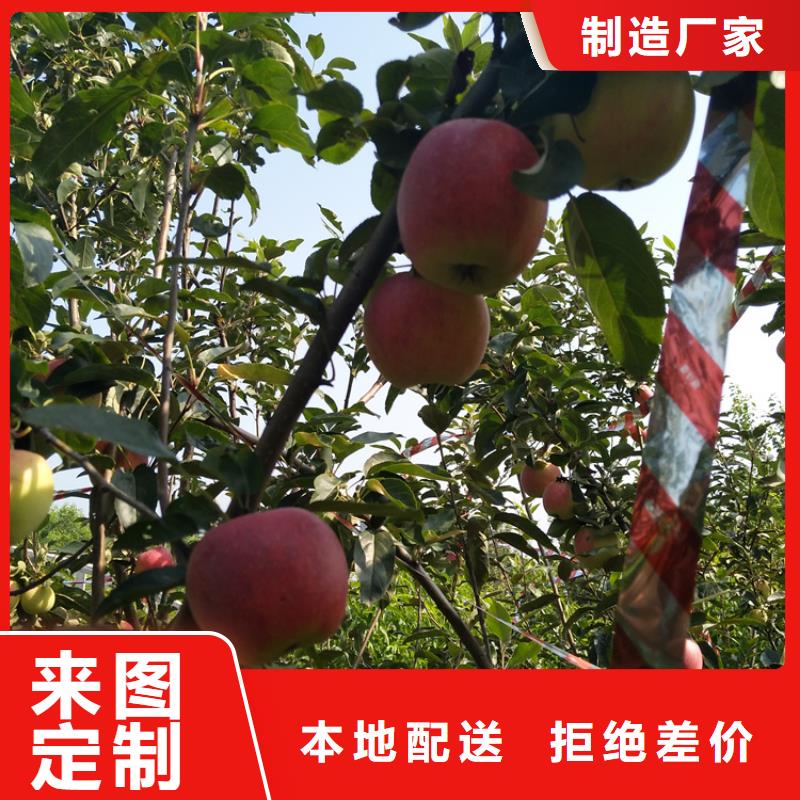 苹果石榴树质量不佳尽管来找我