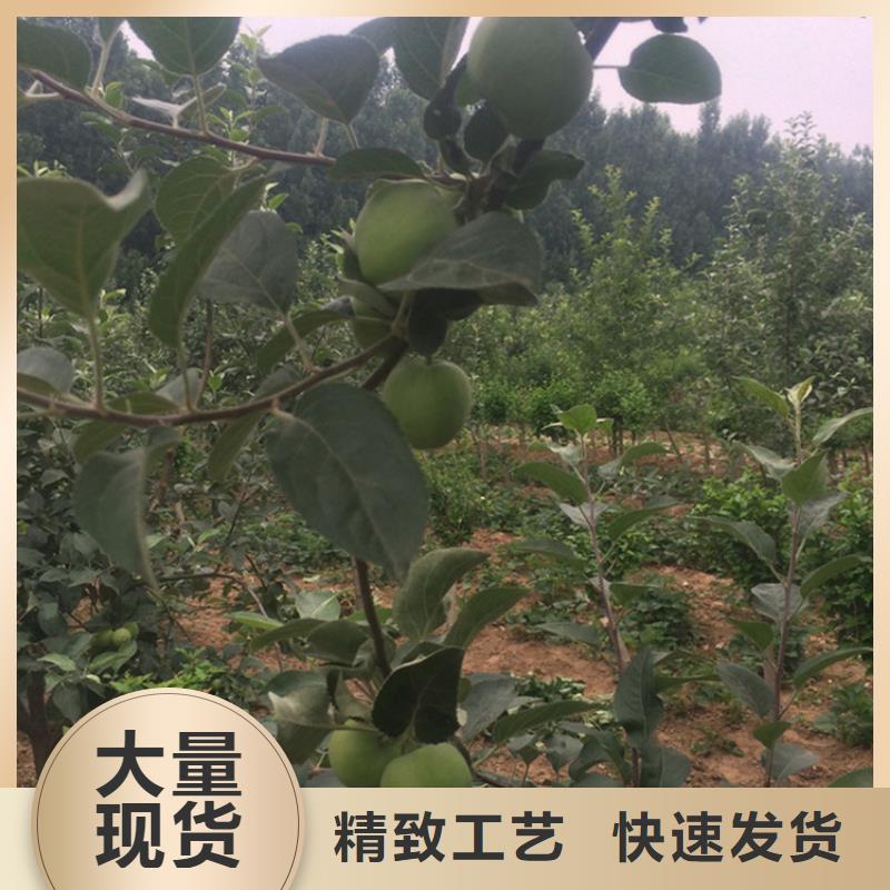苹果-奶油草莓多种优势放心选择