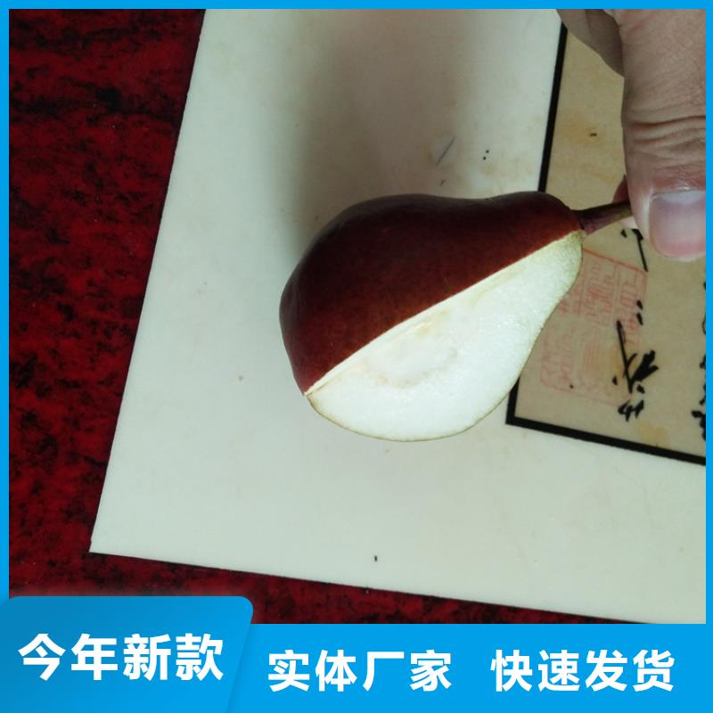 梨树,樱桃苗精品选购