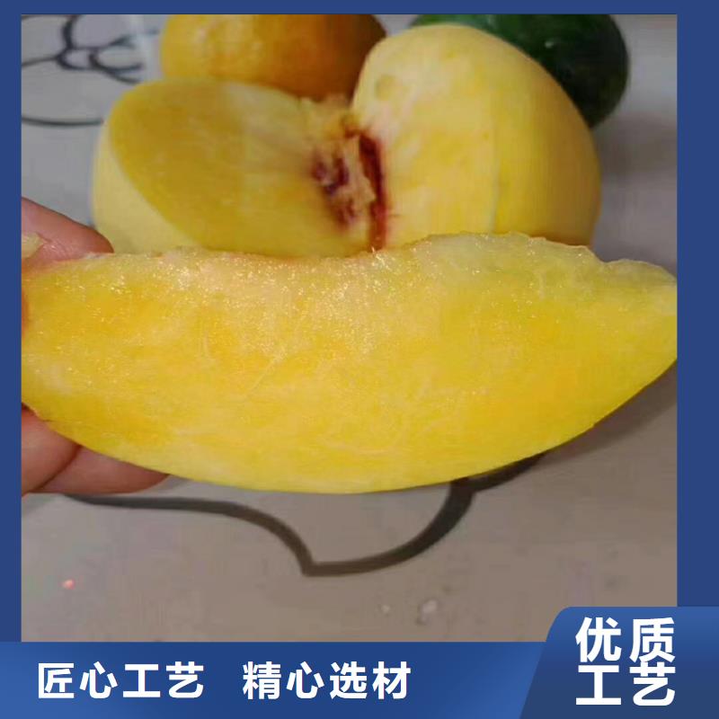 桃,苹果苗真正让利给买家