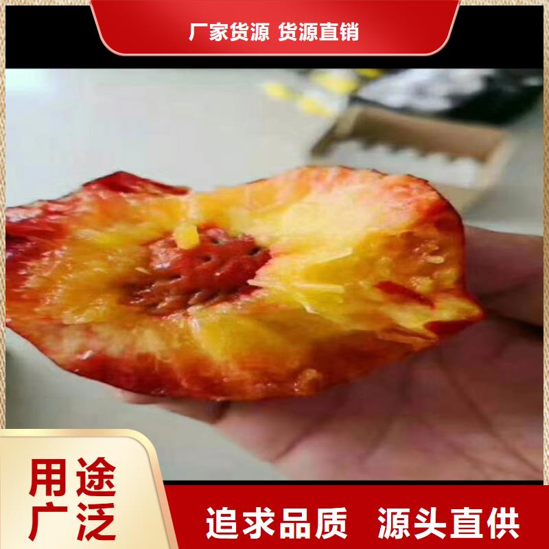桃,苹果苗真正让利给买家