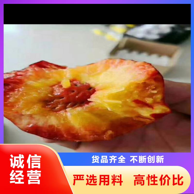 桃,石榴树实力厂商