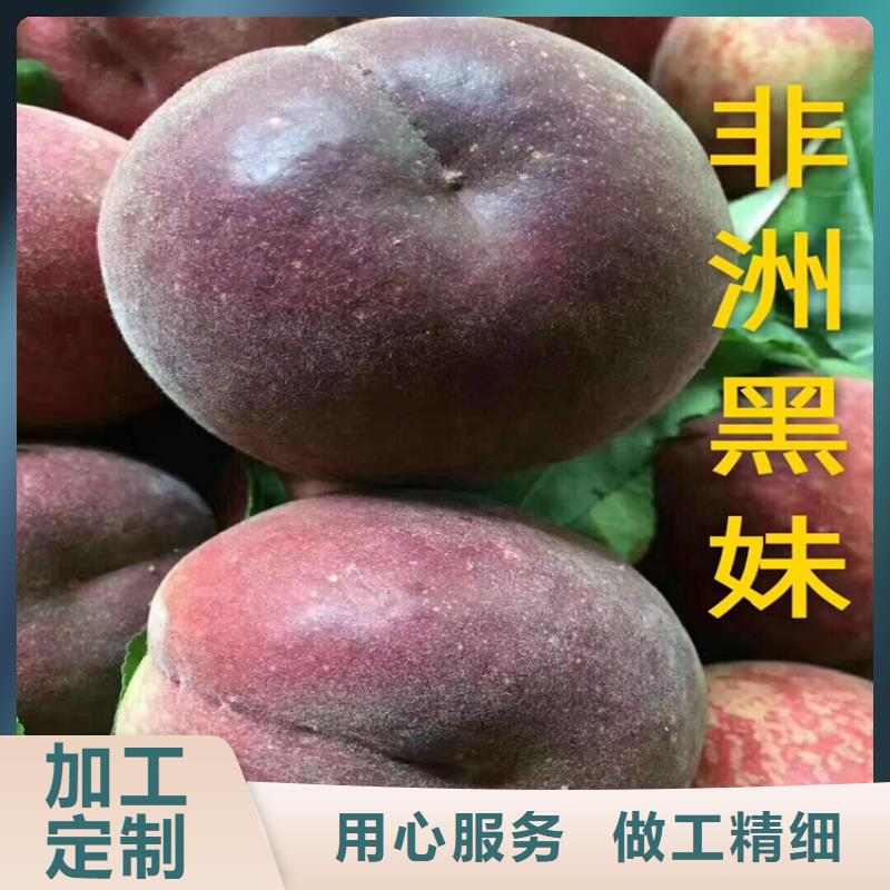 桃红颜草莓自有厂家