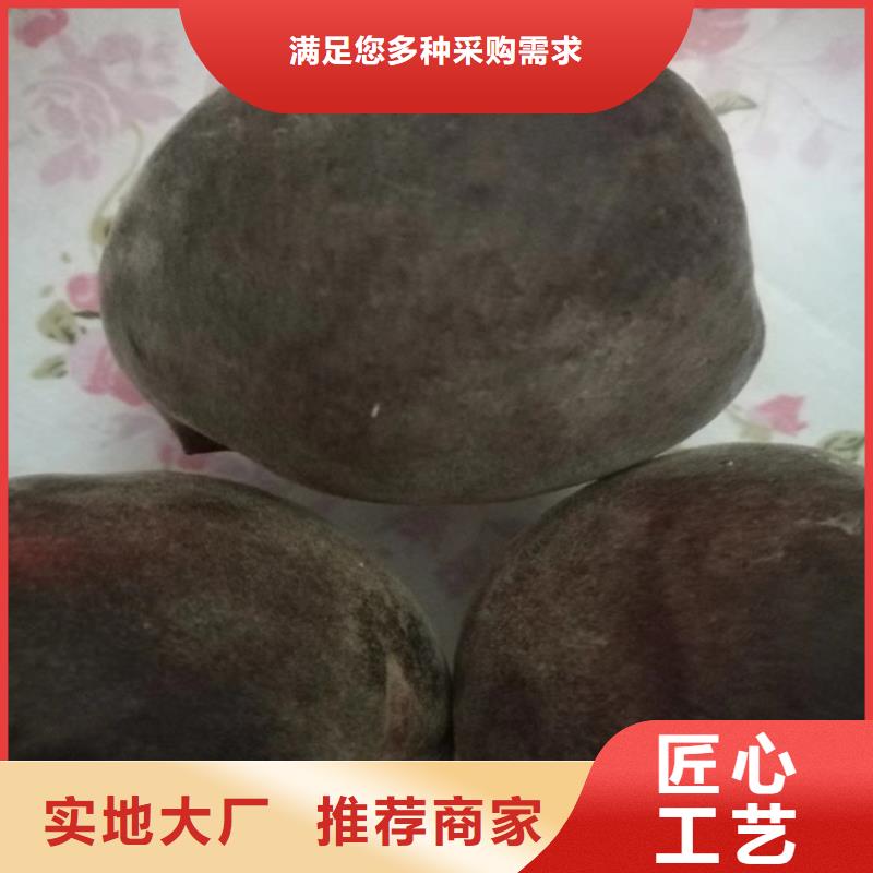 【桃黄瓜苗长期供应】