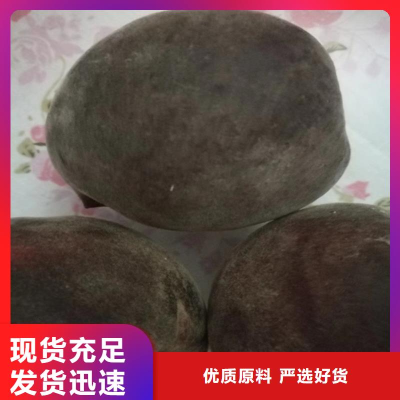【桃_蓝莓苗快速物流发货】