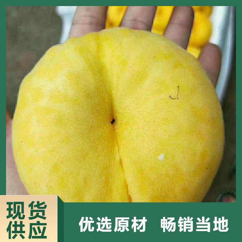 桃红颜草莓自有厂家