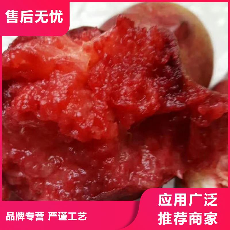 【桃】板栗苗来电咨询
