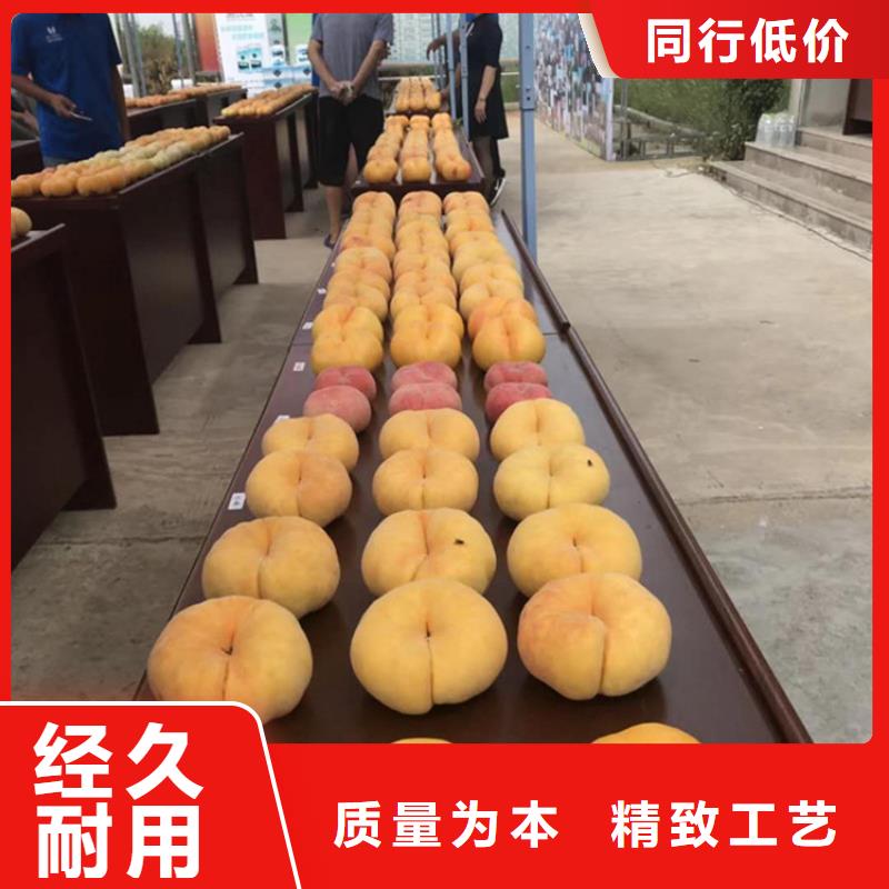 桃蓝莓苗送货上门