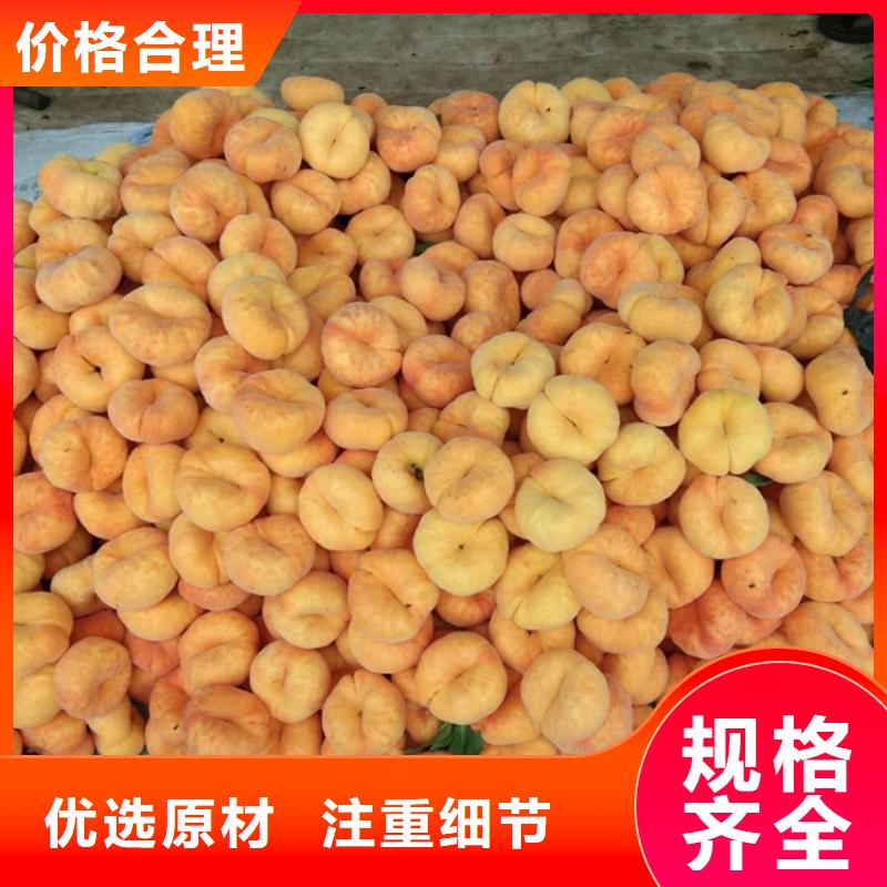【桃】板栗苗来电咨询