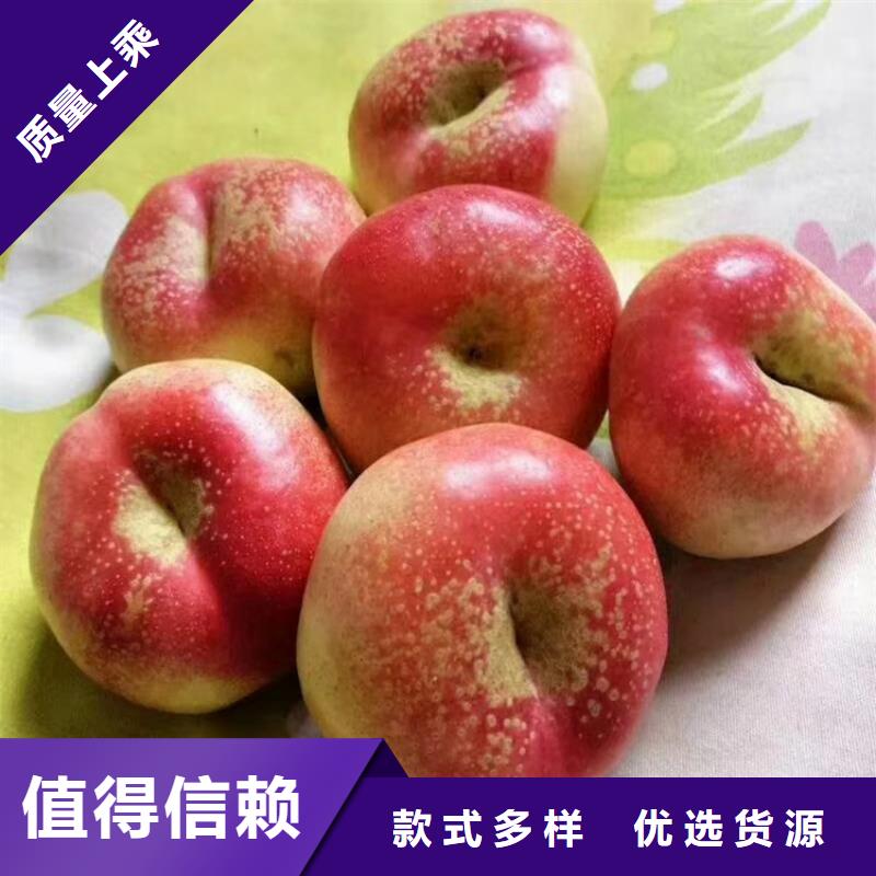 桃蓝莓苗送货上门