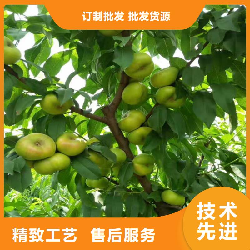 桃红颜草莓自有厂家