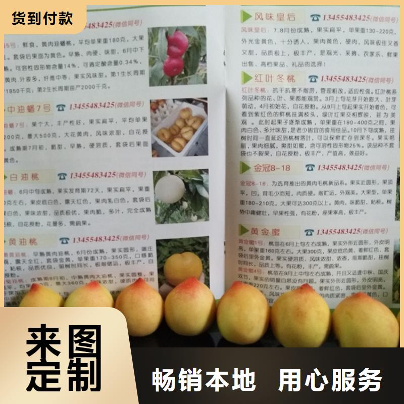 桃红颜草莓自有厂家