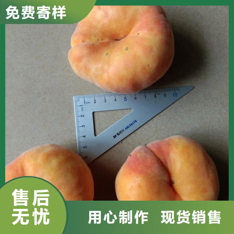桃,苹果苗真正让利给买家