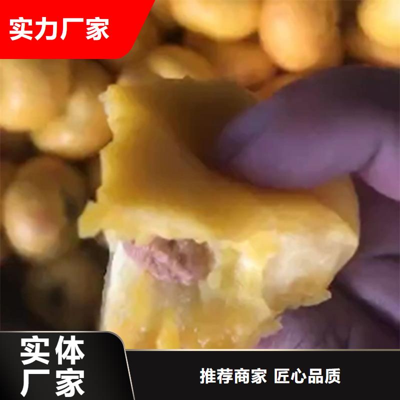 桃蓝莓苗送货上门