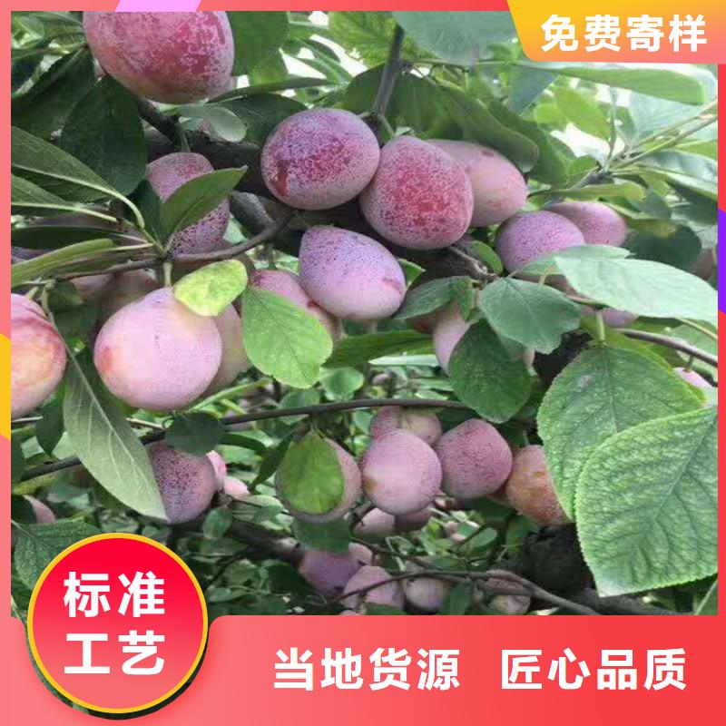 李子【苹果苗】贴心服务