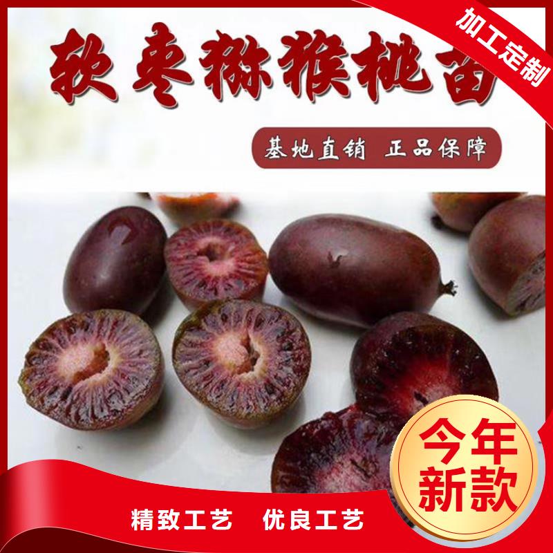 猕猴桃苹果苗厂家新品