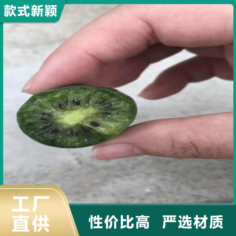 猕猴桃红颜草莓专业品质