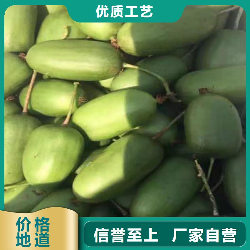 猕猴桃【奶油草莓】货源直销