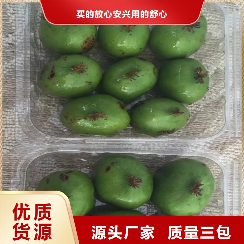 猕猴桃樱桃苗好货直销