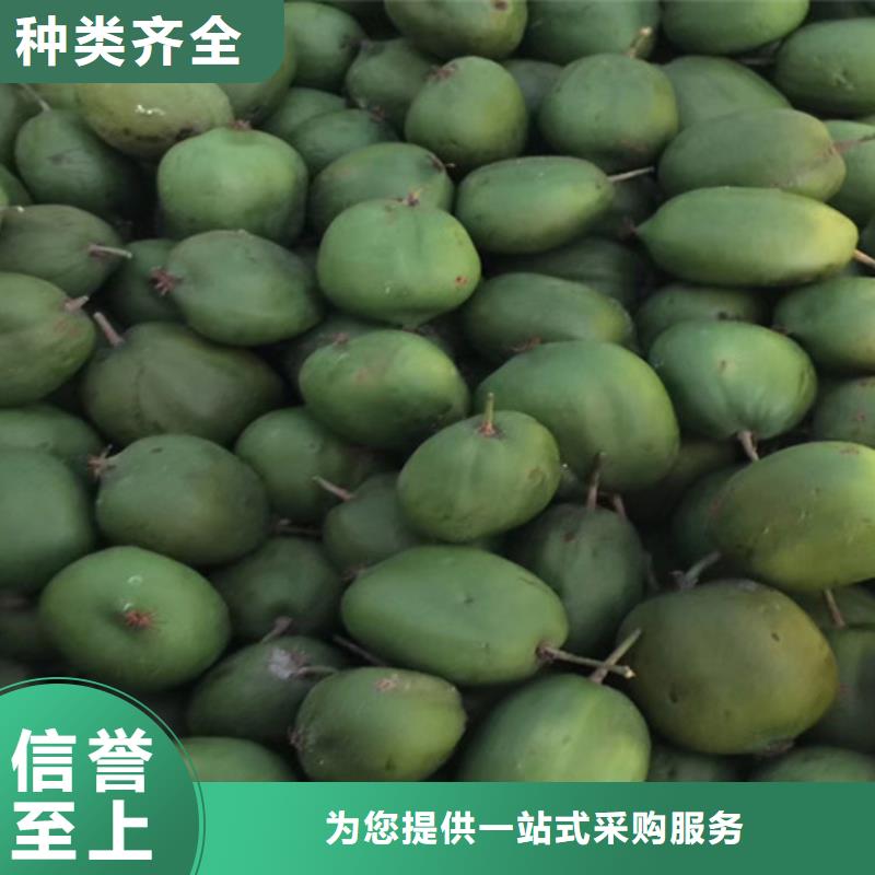 猕猴桃苹果苗高性价比